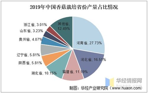 中國香菇產業發展現狀、趨勢與產業聚集度分析——以唐山軟件開發為例的關聯思考